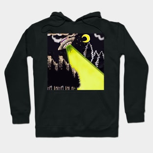 Strange Sightings Hoodie